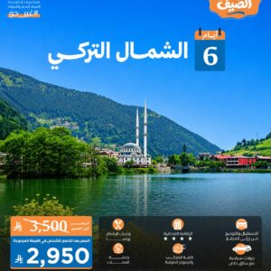 الشمال-التركي